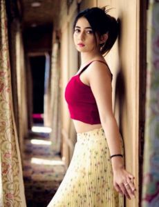 escort service in Rajpura